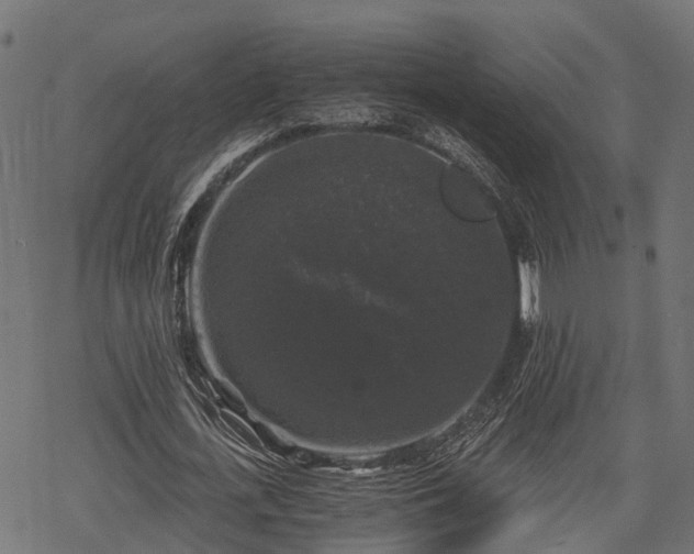 X0000068810723200605121249