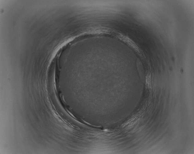 X0000068810724200605121249