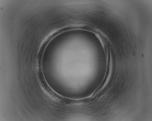 X0000068810726200605121249