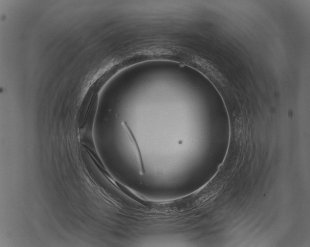 X0000068810727200605121250