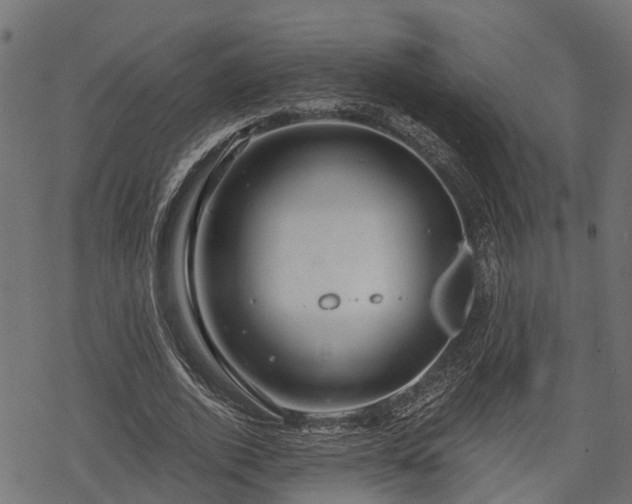 X0000068810728200605121250