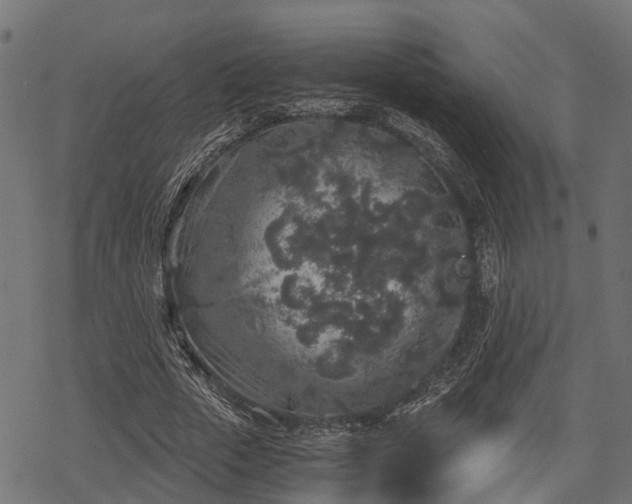 X0000068810729200605121250