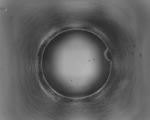 X0000068810730200605121250