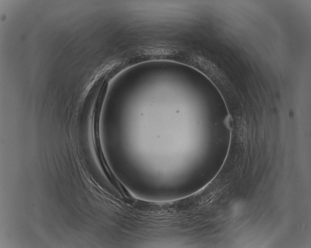 X0000068810731200605121250