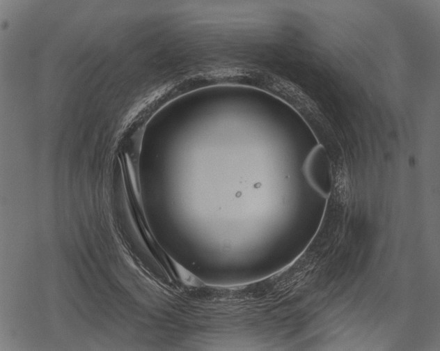 X0000068810732200605121250