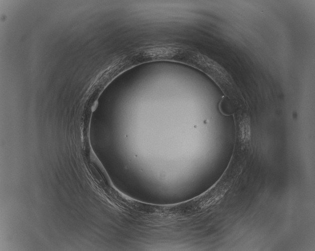 X0000068810733200605121250