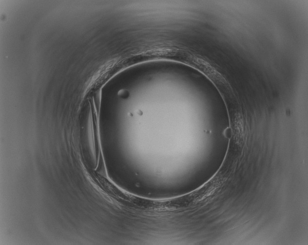 X0000068810734200605121250