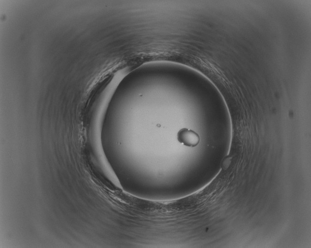 X0000068810735200605121250