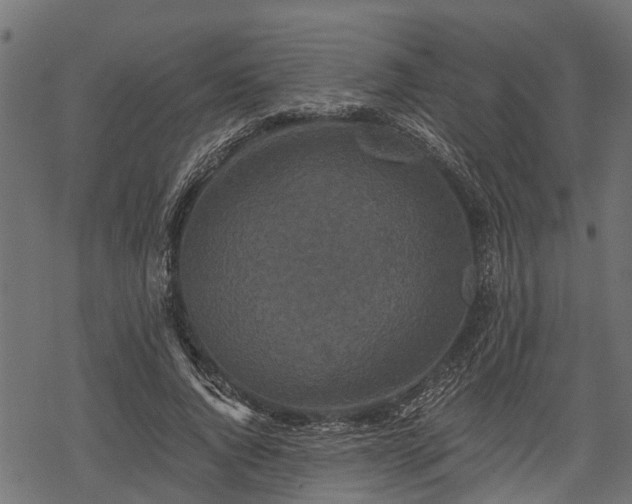 X0000068810736200605121250