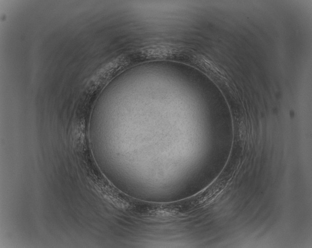 X0000068810737200605121250