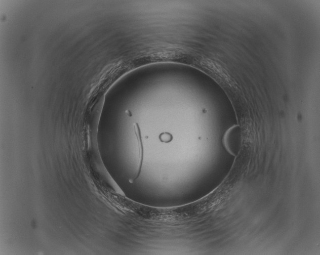 X0000068810738200605121250