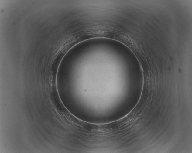 X0000068810739200605121250