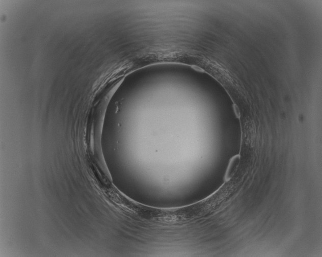 X0000068810740200605121250