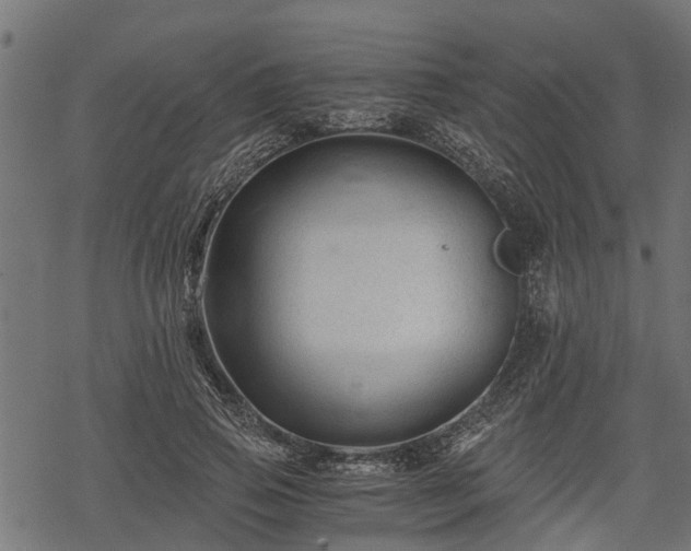 X0000068810741200605121250