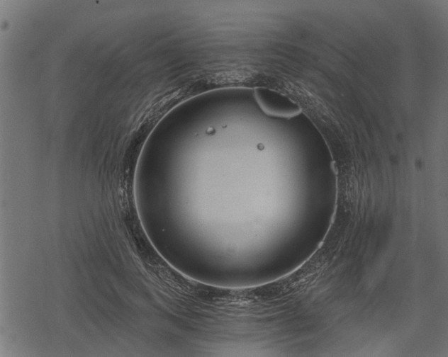 X0000068810743200605121250