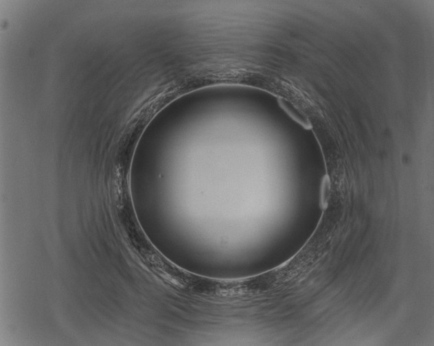 X0000068810744200605121250