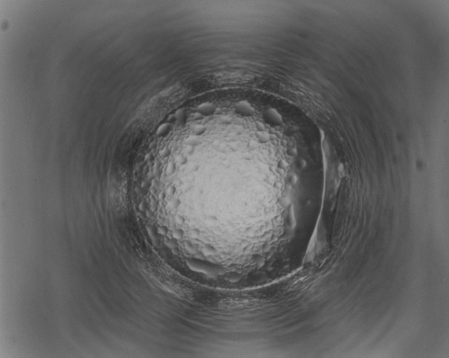 X0000068810745200605121250