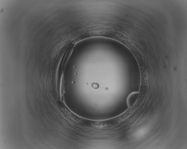 X0000068810746200605121250