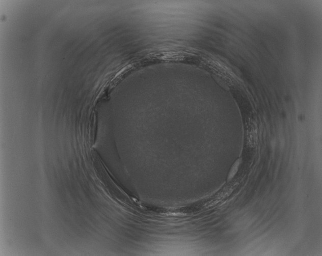 X0000068810748200605121250