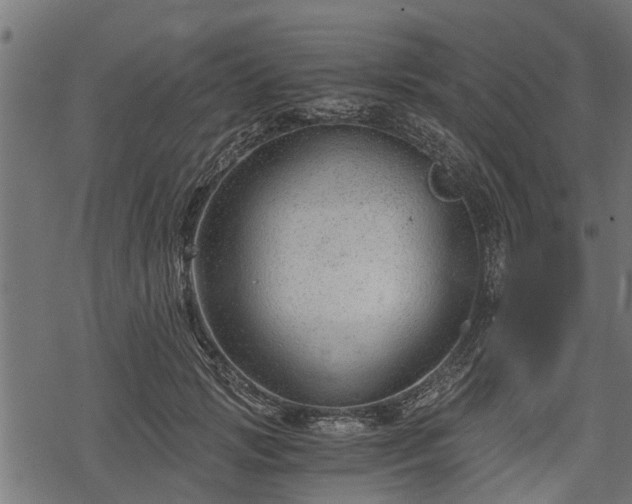 X0000068810749200605121250