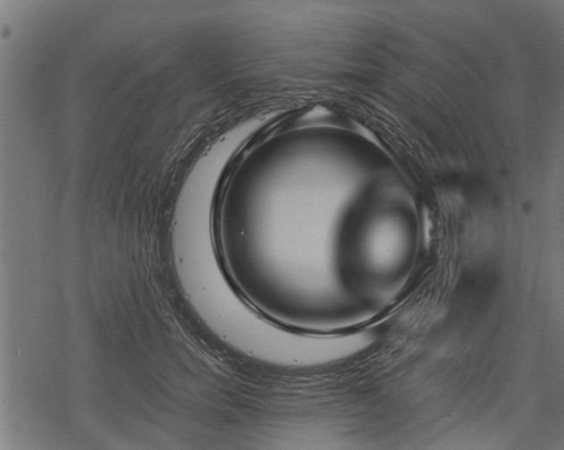 X0000068810750200605121250