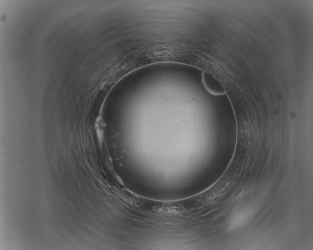 X0000068810751200605121250