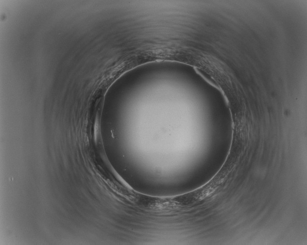 X0000068810752200605121250