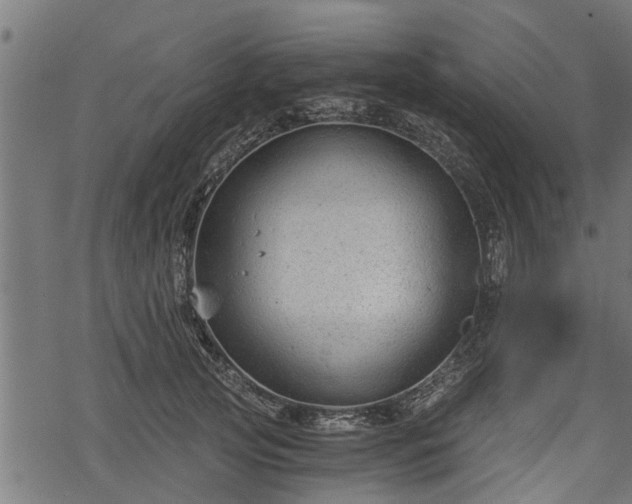 X0000068810753200605121250