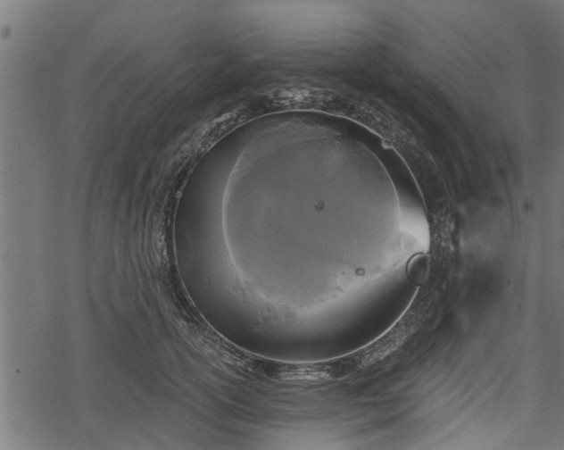 X0000068810754200605121250