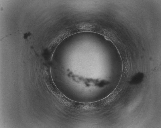 X0000068810755200605121250