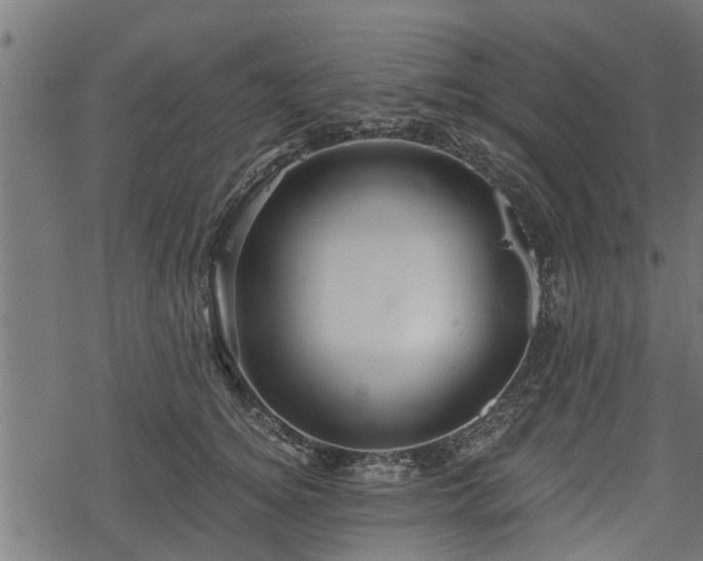 X0000068810756200605121250