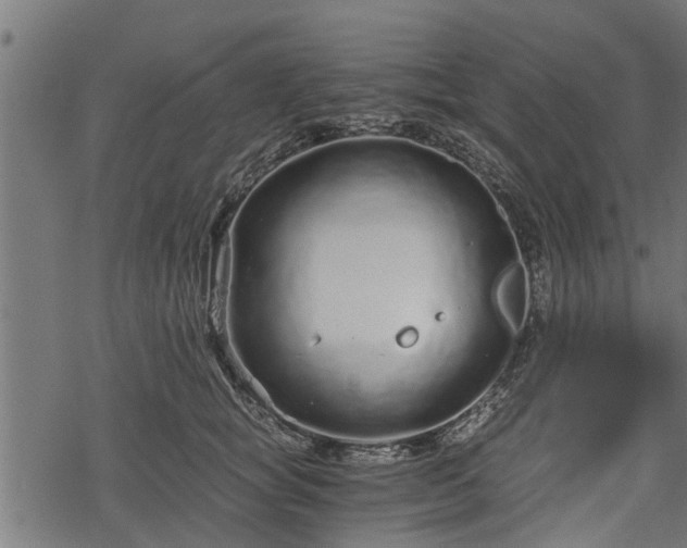 X0000068810757200605121250