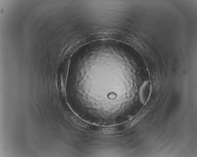 X0000068810758200605121250