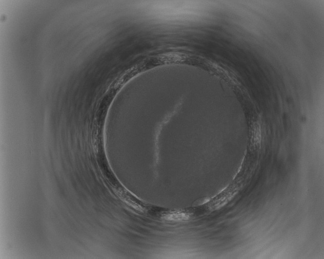 X0000068810759200605121250