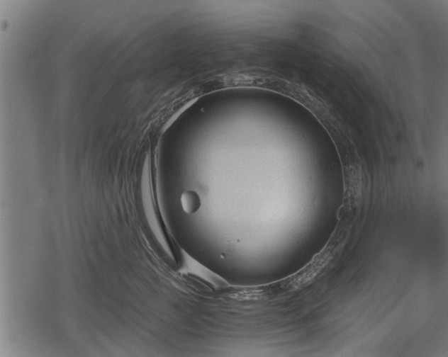 X0000068810761200605121250