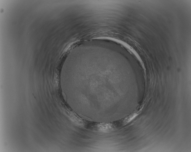 X0000068810762200605121250