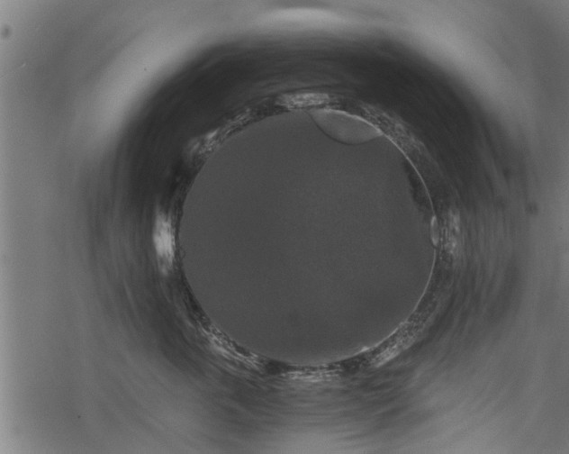 X0000068810763200605121250