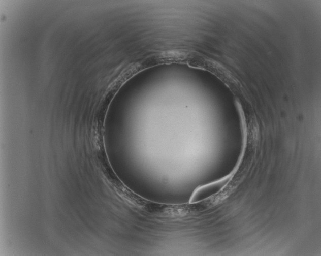 X0000068810764200605121250