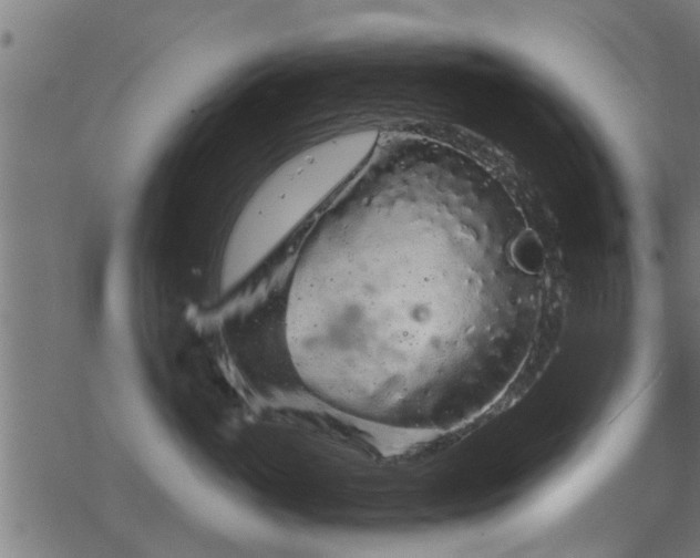 X0000068810765200605121250