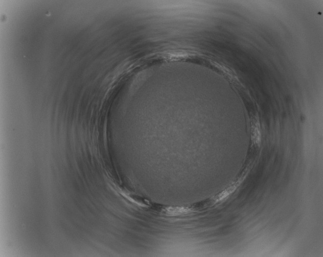 X0000068810766200605121250