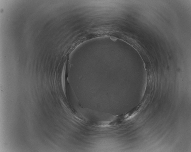 X0000068810767200605121250