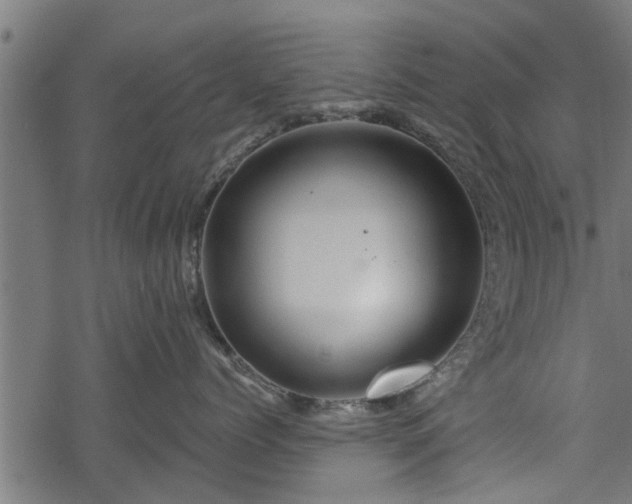 X0000068810768200605121250