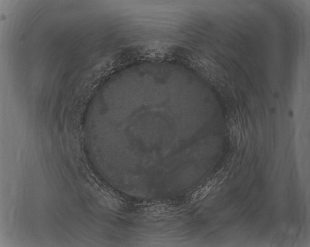 X0000068810769200605121249