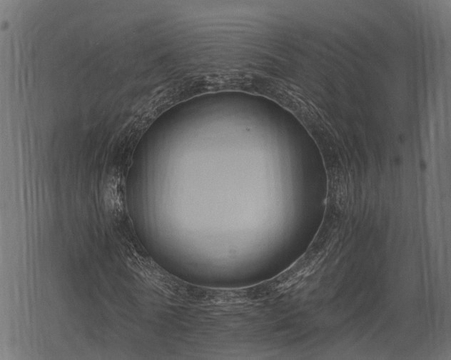 X0000068810770200605121249