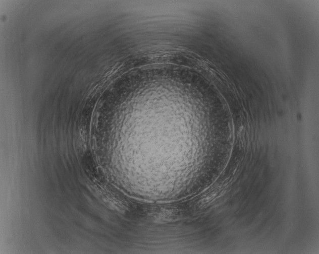 X0000068810772200605121249