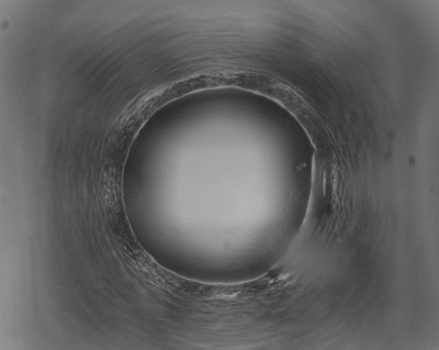 X0000068810773200605121249