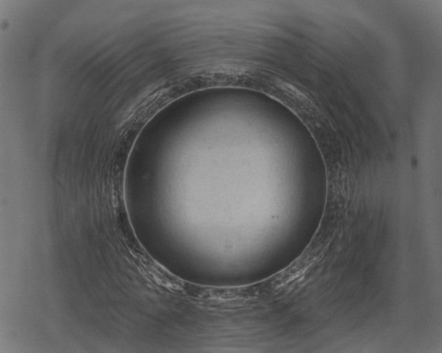 X0000068810774200605121249