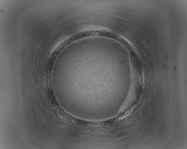 X0000068810775200605121249