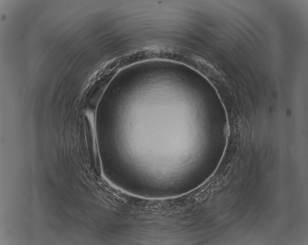 X0000068810776200605121249