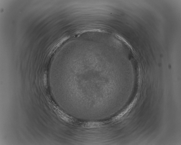 X0000068810777200605121249